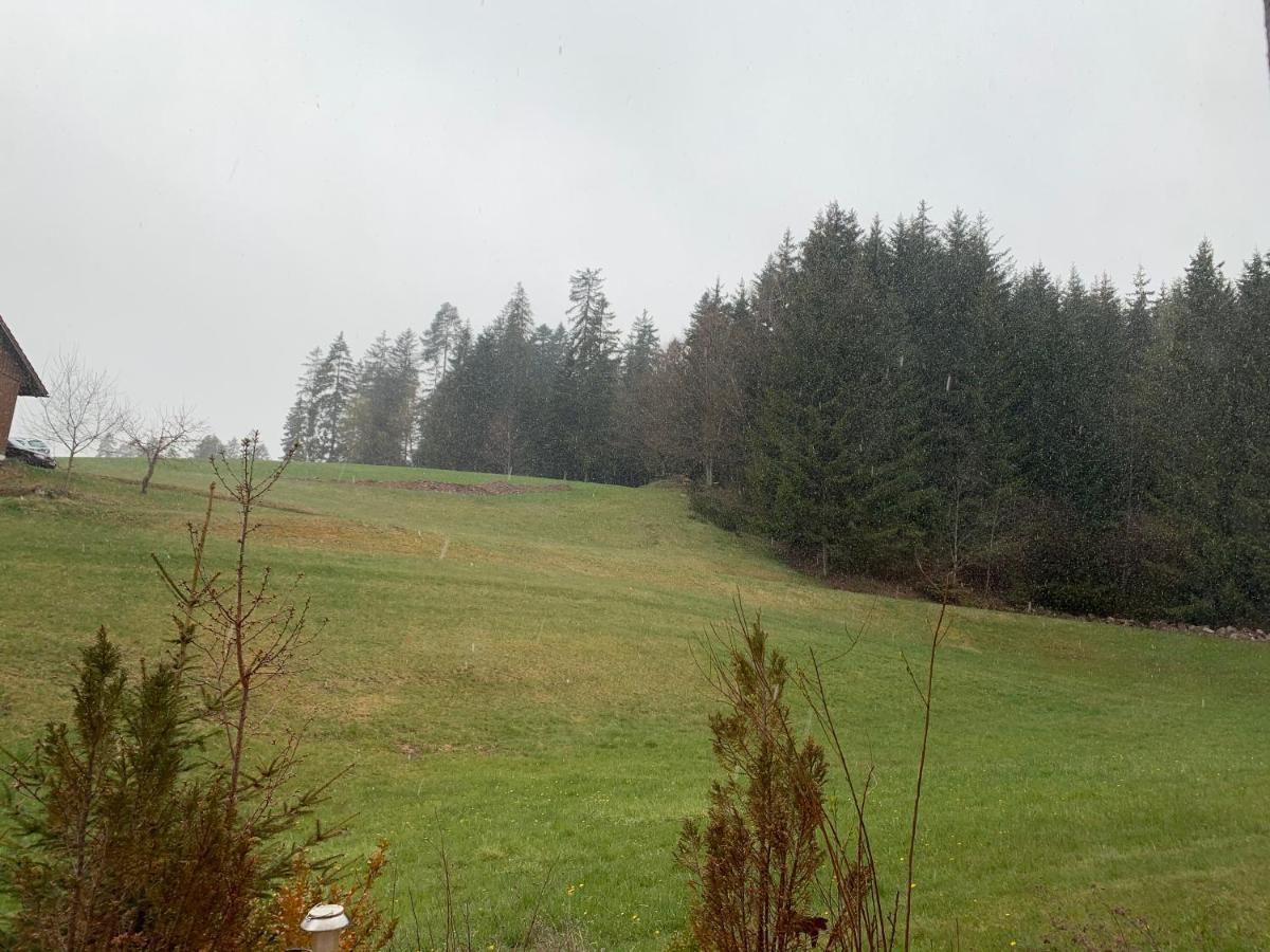 Ferienwohnung Tarahaus St. Georgen im Schwarzwald Exterior foto