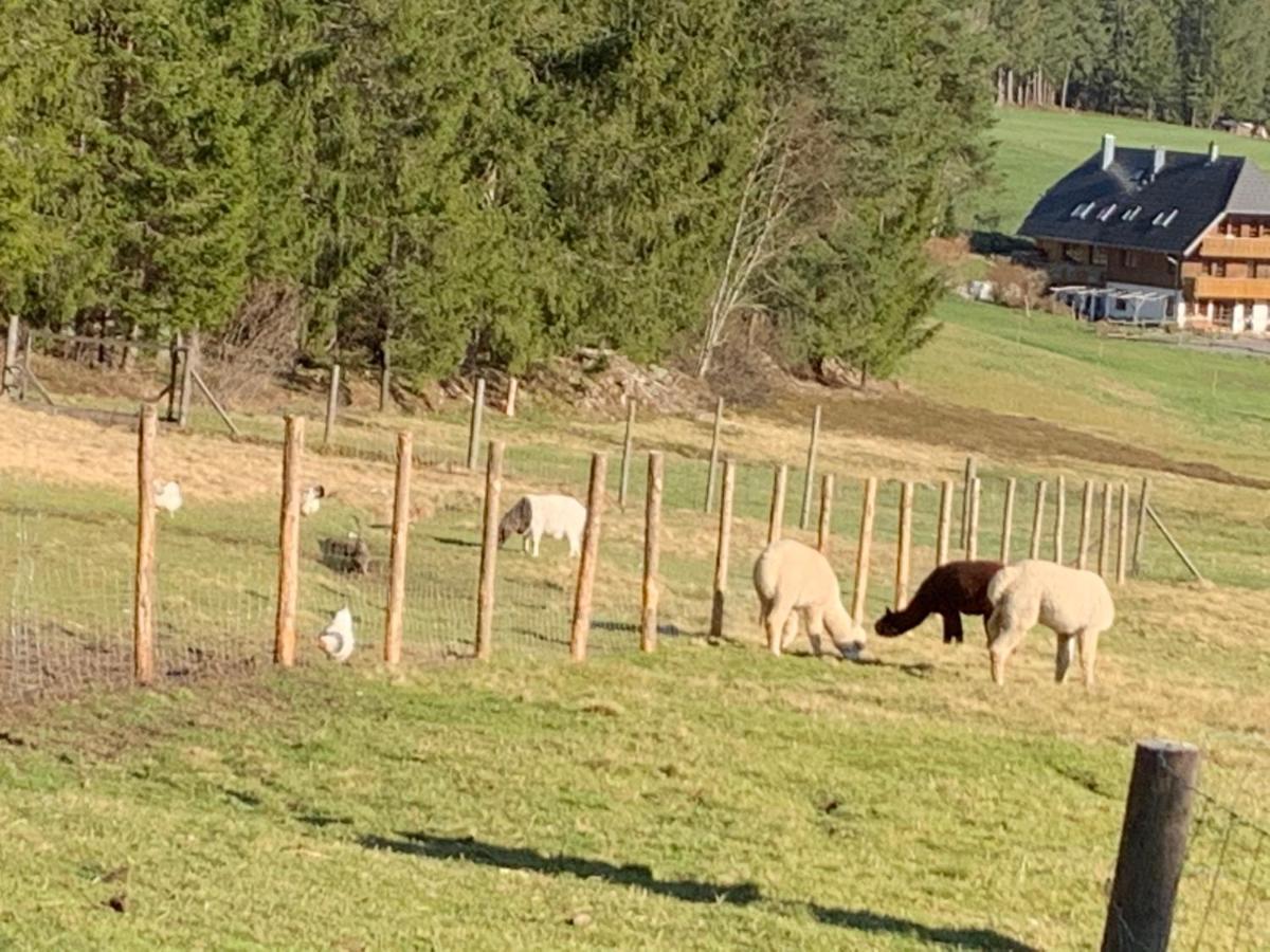 Ferienwohnung Tarahaus St. Georgen im Schwarzwald Exterior foto