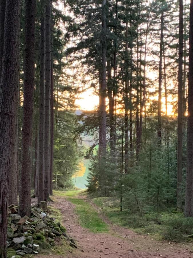 Ferienwohnung Tarahaus St. Georgen im Schwarzwald Exterior foto