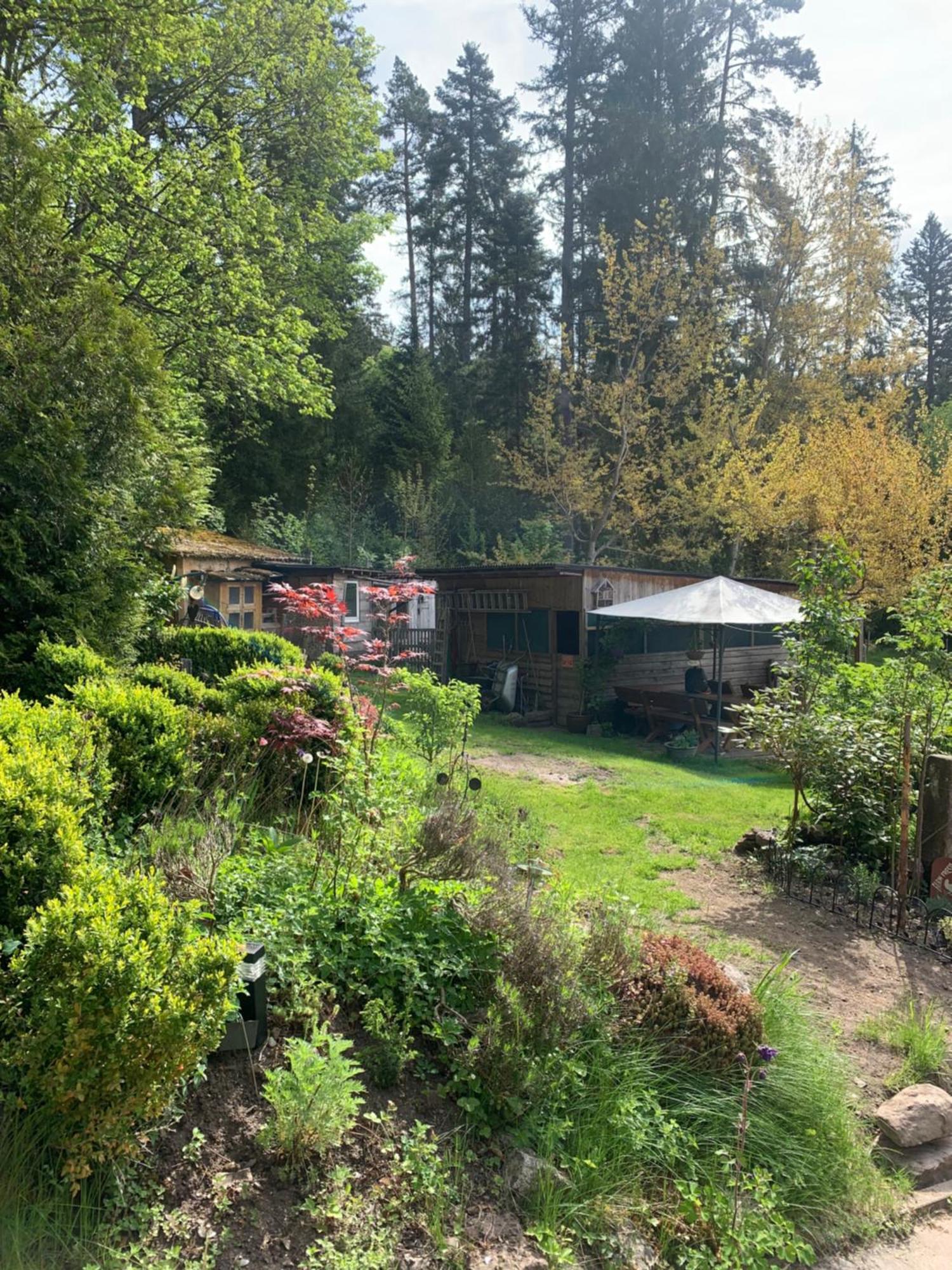 Ferienwohnung Tarahaus St. Georgen im Schwarzwald Exterior foto