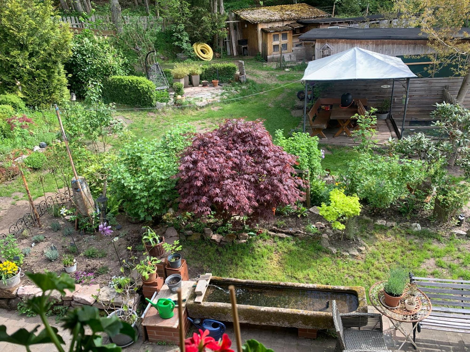 Ferienwohnung Tarahaus St. Georgen im Schwarzwald Exterior foto