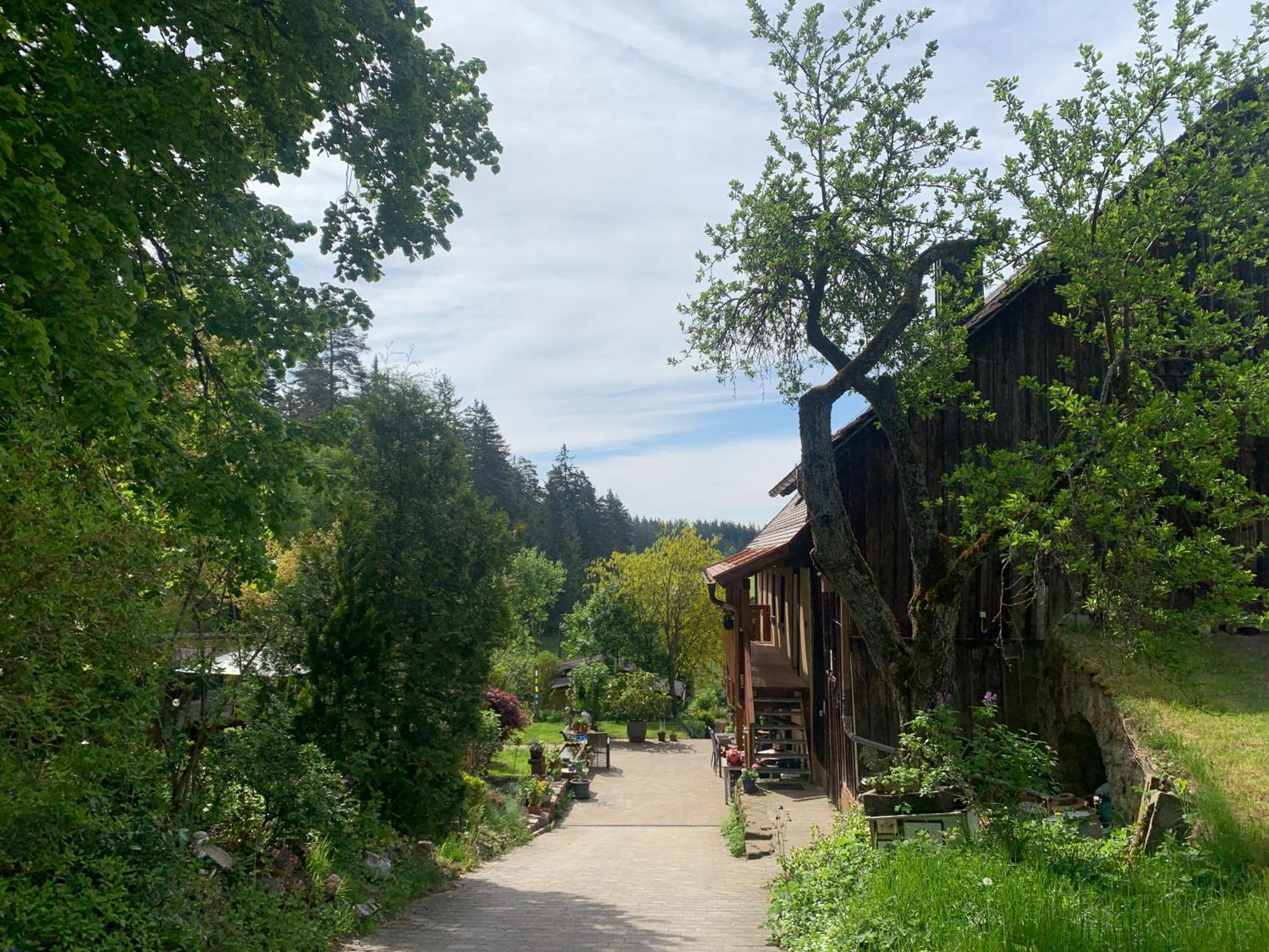 Ferienwohnung Tarahaus St. Georgen im Schwarzwald Exterior foto